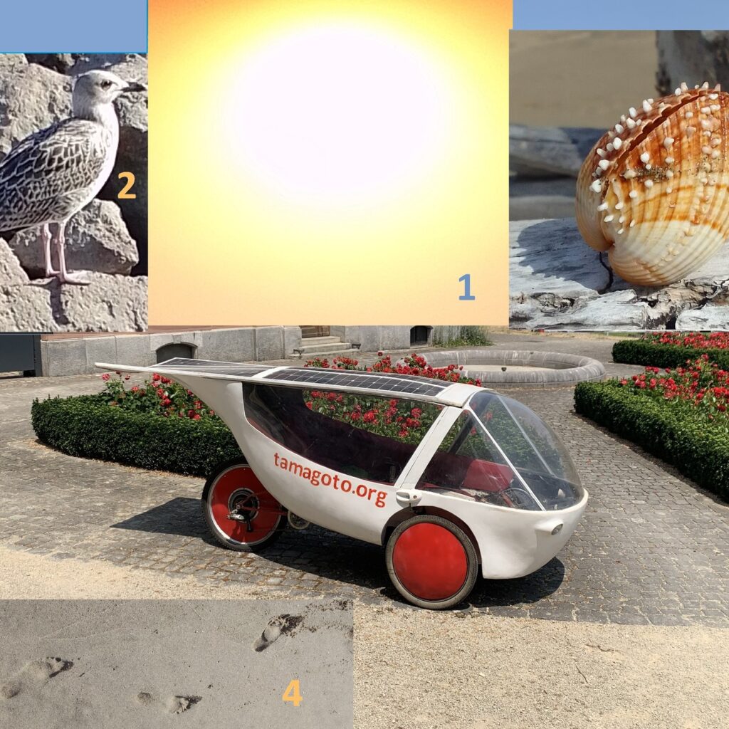 Instagram post from tamagoto.officiel. This post is in position 6.